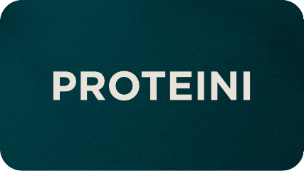 shop protein supplements