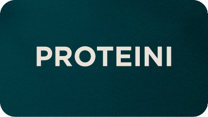 shop protein supplements