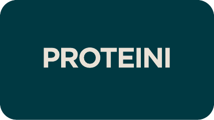 shop protein supplements