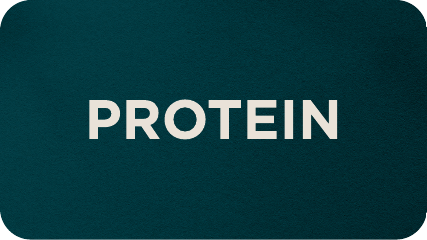 PROTEIN