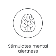 Stimulates mental alertness