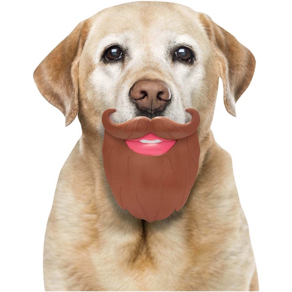 Gifts for Pets