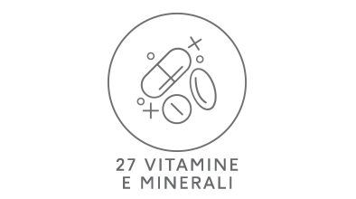 27 Vitamine e Minerali Icona