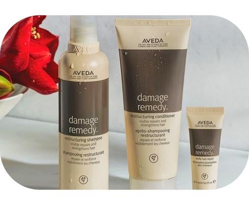 Aveda Damage Remedy