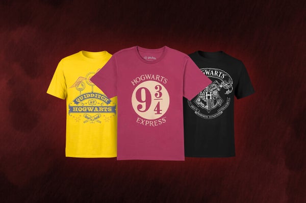 2 FOR £20 HARRY POTTER ADULT T-SHIRTS