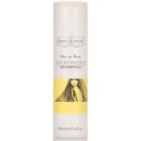 Percy & Reed Time to Shine Colour Protect Shampoo 250ml
