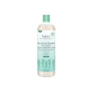 Babo Botanicals Eucalyptus Remedy Shampoo, Bubble Bath and Wash