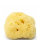 ARgENTUM la lune sur l'eau Silk Sea Face Sponge