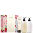 مجموعة Rose Softening and Moisturising من Jurlique