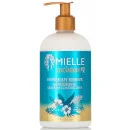 بلسم مويستشر آر إكس بزنجبيل هاواي دون شطف من Mielle بوزن 340 جم