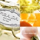 Prada Infusion De Mimosa Eau de Parfum 100ml