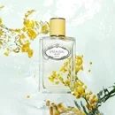 Prada Infusion De Mimosa Eau de Parfum 100ml