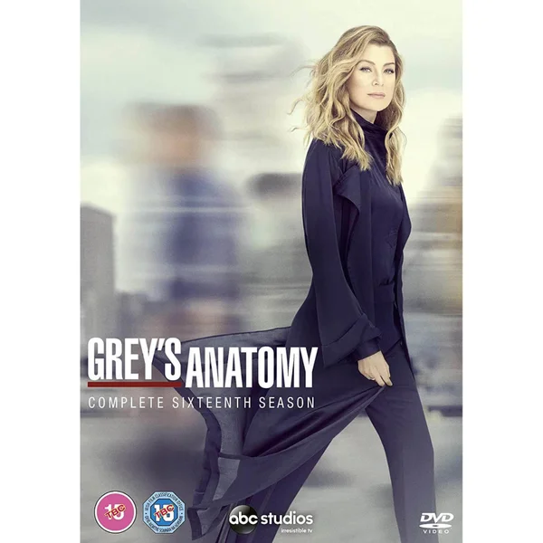 Grey's Anatomy - Season 16