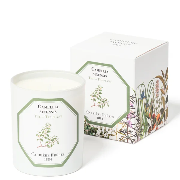 Carrière Frères Camellia Sinensis - Tea Plant 185g