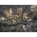 Central Park Wall Mural
