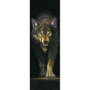 Prowling Wolf - Door Poster - 53 x 158cm