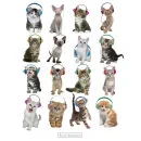 Keith Kimberlin Kitten Headphones - Mini Poster - 40 x 50cm