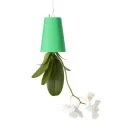 Boskke Sky Planter - Small Green