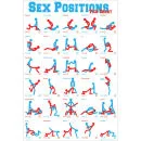 Sex Positions - Maxi Poster - 61 x 91.5cm