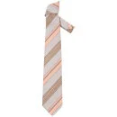 Gianfranco Ferre Tie - Multi
