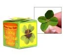 Lucky Four Leaf Clover