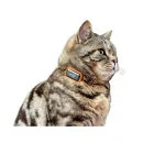 G-Paws Pet GPS Tracker System - Black