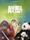 Animal Planet - Collection