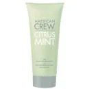 American Crew Citrus Mint Hair Gel 200ml