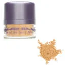 Urban Decay Surreal Skin Mineral Powder Makeup