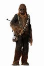 Hot Toys Star Wars Chewbacca Masterpiece Series 1:6 Scale Figure