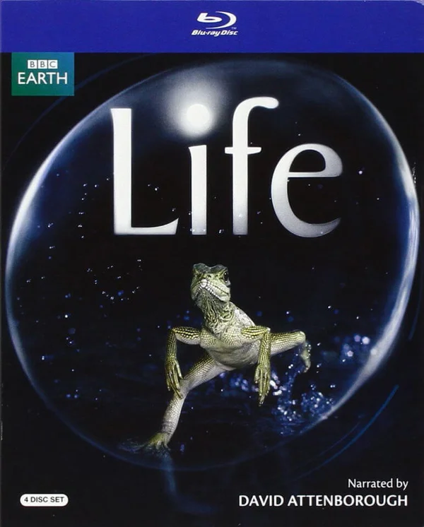 Life