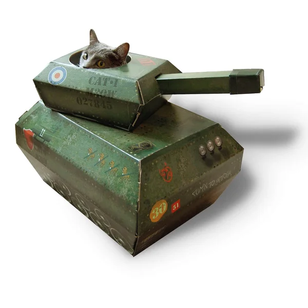 Cat Tank Playhouse