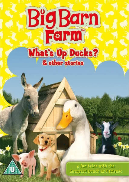 Big Barn Farm: What's Up Ducks?