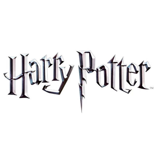 Mystery Harry Potter Gift