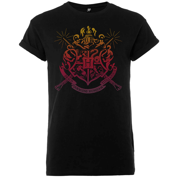 Harry Potter Draco Dormiens Nunquam Titillandus Men's Black T-Shirt