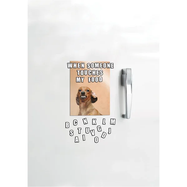 Meme Magnets
