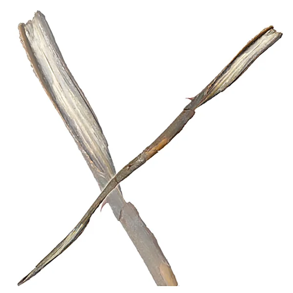 Harry Potter Gellert Grindelwald's Wand