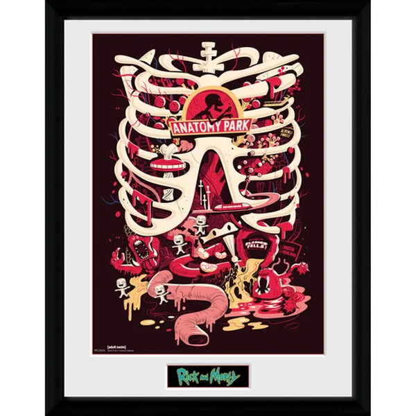 Rick and Morty Anatomy Park 12 x 16 Inches Framed Photograph