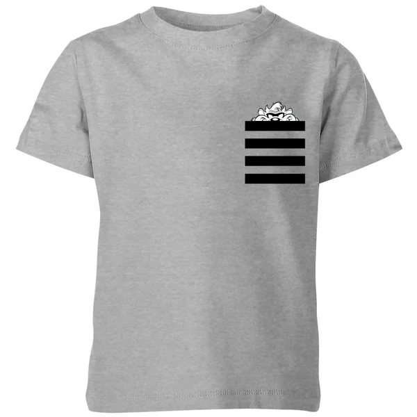 T-Shirt Enfant Taz Poche à Rayures Looney Tunes - Gris