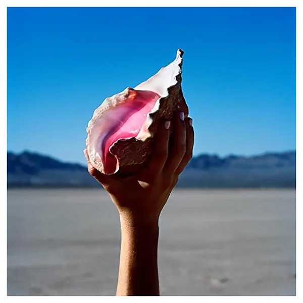 The Killers - Wonderful Wonderful - Vinyl