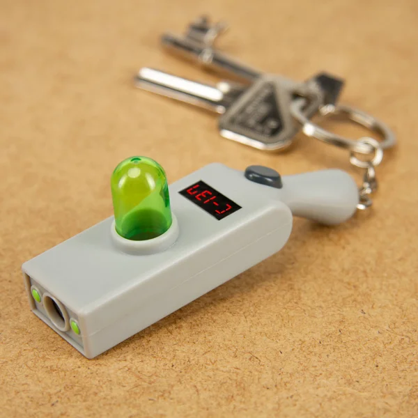 Rick and Morty Portal Gun Keyring Light