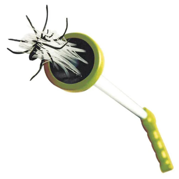 Spinnenvanger