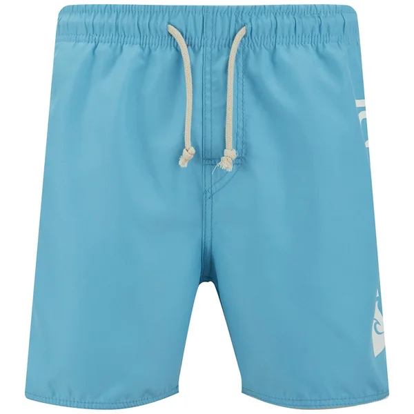 Rip Curl Men's Aggrobrash 16 Inch Volley Swim Boardshorts - Blue