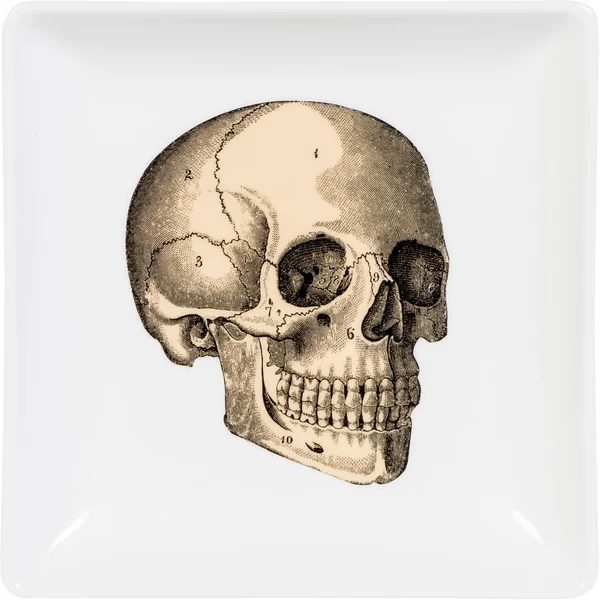 Curios Trinket Print Tray - Skull