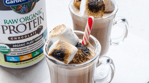 Sugar Free Protein Hot Chocolate