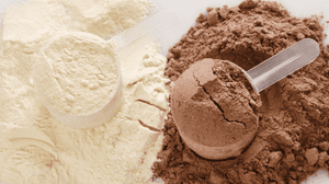 Collagen vs. Whey Protein: The Difference