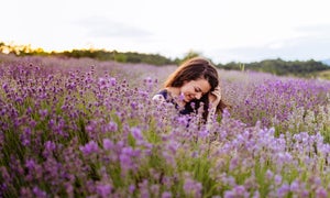 The Surprising Skin Care Benefits of Lavender