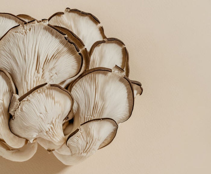 Mushrooms - the skin & health benefits of mushroom
