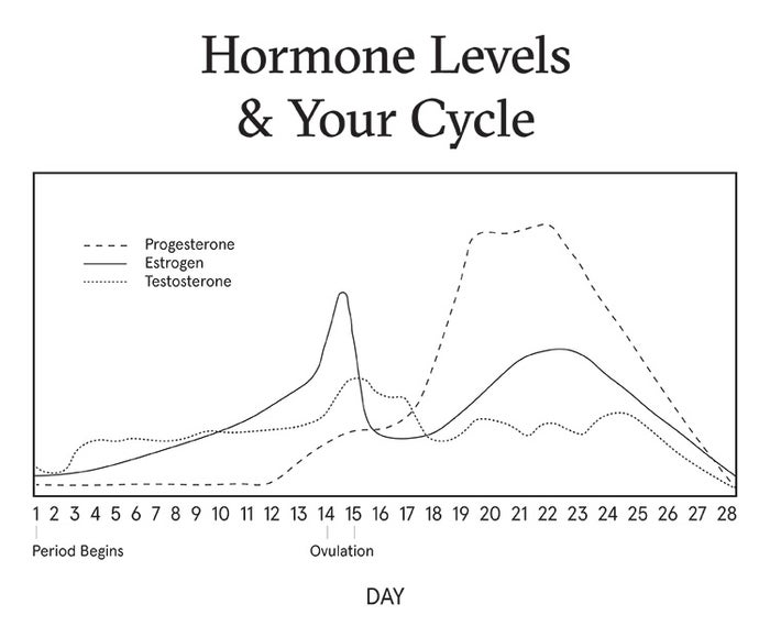 Hormone Levels & Your Cycle