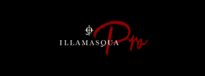 ILLAMASQUA PRO: NEWSLETTER, ISSUE 9